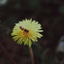 Il mio progetto del corso: Fotografia per principianti: scopri la tua macchina fotografica digitale. Een project van Fotografie, Digitale fotografie y Fotografische compositie van fiorentinomaria1998 - 11.04.2024