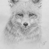 Mi proyecto del curso: Dibujo naturalista de animales con grafito. Traditional illustration, Pencil Drawing, Drawing, and Naturalistic Illustration project by Miriam JT - 04.12.2024