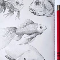 My project for course: Daily Sketching for Creative Inspiration. Traditional illustration, Sketching, Creativit, Drawing, and Sketchbook project by S. Teabo - 04.13.2024
