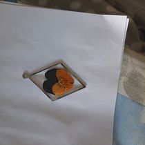 Il mio progetto del corso: Design di gioielleria in resina. Un progetto di Design di accessori, Artigianato, Design di gioielli e DIY di Elena Ramona Feraru - 13.04.2024