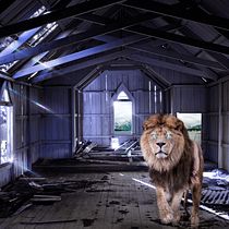 Mi proyecto del curso: Secretos del fotomontaje y el retoque creativo. Photograph, Photograph, Post-production, VFX, Photo Retouching, Fine-Art Photograph, Photographic Composition, and Photomontage project by jesus santacruz mora - 04.15.2024