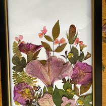 Mi proyecto del curso: Técnicas básicas de prensado botánico. Un proyecto de Artesanía, Bellas Artes, Collage, DIY, Diseño floral, vegetal e Ilustración botánica de equirogaj - 15.04.2024