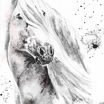 Mi proyecto del curso: Retratos expresivos de animales en acuarela. Un proyecto de Ilustración tradicional, Pintura a la acuarela, Dibujo realista e Ilustración naturalista				 de Ana Mainar Juste - 10.05.2024