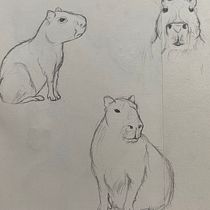 Mi proyecto del curso: Dibujo a lápiz de animales realistas para cuentos. Character Design, Pencil Drawing, Drawing, and Children's Illustration project by cherry_la__ - 04.17.2024
