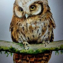 Meu projeto do curso: Ilustração naturalista de aves com aquarela. Ilustração tradicional, Pintura em aquarela, Desenho realista e Ilustração naturalista projeto de Bel Lira - 24.03.2024