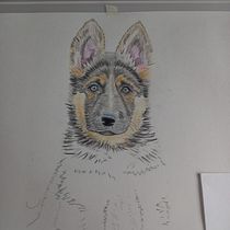 Mi proyecto del curso: Retratos de Mascotas en Lápices de Colores. Traditional illustration, and Naturalistic Illustration project by Cristobal Tavera Parra - 04.17.2024