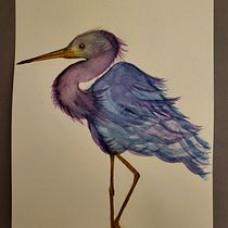 Mein Abschlussprojekt für den Kurs: Naturalistische Aquarellillustration von Vögeln. Ilustração tradicional, Pintura em aquarela, Desenho realista e Ilustração naturalista projeto de nanapresley - 21.04.2024