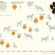 My project for course: Data Visualization and Information Design: Create a Visual Model. Design de informação, Design interativo e Infografia projeto de Kat G Opitz - 21.04.2024