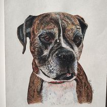 Mi proyecto del curso: Retratos de Mascotas en Lápices de Colores. Traditional illustration, Naturalistic Illustration, and Photograph project by Paty Sainz - 04.21.2024