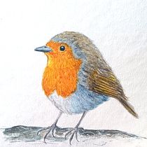 Mein Abschlussprojekt für den Kurs: Illustriere Vögel mit expressiven Aquarelltechniken. Traditional illustration, Watercolor Painting, Realistic Drawing, and Naturalistic Illustration project by Katja Bader - 04.21.2024