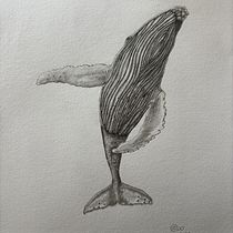Mi proyecto del curso: Dibujo naturalista de animales con grafito. Traditional illustration, Pencil Drawing, Drawing, and Naturalistic Illustration project by Romina Montecchia - 04.21.2024