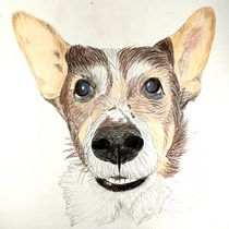 Mi proyecto del curso: Retratos de Mascotas en Lápices de Colores.  project by su_teruya - 04.20.2024