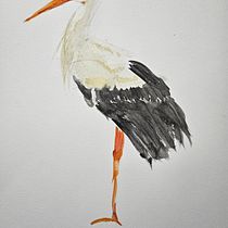 Mein Abschlussprojekt für den Kurs: Naturalistische Aquarelle mit Ausdruck und Charakter. Traditional illustration, Watercolor Painting, and Naturalistic Illustration project by a. kai. - 04.23.2024