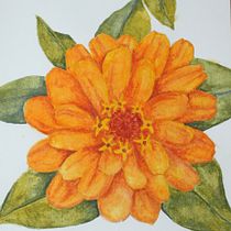 Mi proyecto del curso: Ilustración botánica con acuarela. Traditional illustration, Fine Arts, Painting, Drawing, Watercolor Painting, and Botanical Illustration project by Camila Martinez Lopez - 04.24.2024