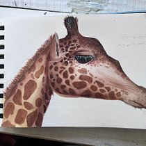 Mi proyecto del curso: Ilustración realista en acuarela de la vida salvaje . % Valentina Folch tarafından hazırlanan Güzel sanatlar, Tablo, Sulubo, a Resim, Doğalcı İllüstras, Ve on projesi - 04.24.2024