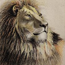 Il mio progetto del corso: Tecniche sperimentali di acquerello per principianti. Un progetto di Illustrazione tradizionale, Belle arti, Pittura ad acquerello e Illustrazione naturalistica di Claudia Foroni - 25.04.2024