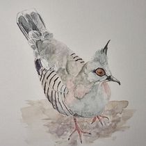 My project for course: Naturalist Bird Illustration with Watercolors. Ilustração tradicional, Pintura em aquarela, Desenho realista e Ilustração naturalista projeto de Wendy Allison - 26.04.2024