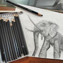 Mi proyecto del curso: Imágenes realistas de vida salvaje con lápiz de grafito. Un projet de Beaux Arts, Dessin au cra, on, Dessin, Dessin réaliste et Illustration naturaliste de Camilo Beltran - 27.04.2024