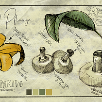 Mein Abschlussprojekt für den Kurs: Botanische Illustration: vom Skizzenbuch zum Druck Ein Projekt aus dem Bereich Traditionelle Illustration, Skizzenentwurf, Zeichnung, Botanische Illustration, Sketchbook und Illustration mit Tinte von lotteletters - 27.04.2024