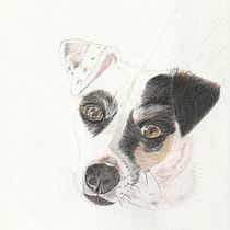 Mi proyecto del curso: Retratos de Mascotas en Lápices de Colores. Traditional illustration, and Naturalistic Illustration project by martacabrera62 - 04.26.2024