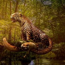 Meu projeto do curso: Fotomontagem e ilustrações fantásticas com Photoshop. Photograph, Collage, Photo Retouching, Digital Illustration, Photographic Composition, and Photomontage project by Luiza Guadagnin - 05.10.2023