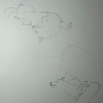 My project for course: Dynamic Animal Illustration for Children’s Stories. Character Design, Pencil Drawing, Drawing, and Children's Illustration project by tiffanyddo - 04.30.2024