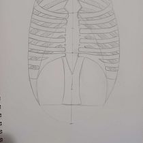 My project for course: Figure Drawing for Beginners Ein Projekt aus dem Bereich Bildende Künste, Skizzenentwurf, Bleistiftzeichnung, Zeichnung, Realistische Zeichnung und Anatomische Zeichnung von ragnnarthesad - 30.04.2024