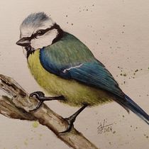 Mon projet du cours : Illustration naturaliste d'oiseaux à l'aquarelle MESANGE. Ilustração tradicional, Pintura em aquarela, Desenho realista e Ilustração naturalista projeto de Valérie Courtois - 01.05.2024