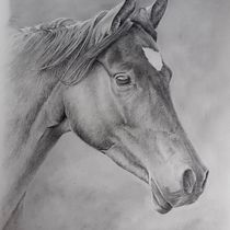 Mon projet du cours : Images réalistes de la faune au crayon graphite. Un projet de Beaux Arts, Dessin au cra, on, Dessin, Dessin réaliste et Illustration naturaliste de alain Masset - 04.05.2024