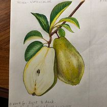 Mi proyecto del curso: Ilustración botánica realista: conecta con la naturaleza. Painting, Watercolor Painting, Botanical Illustration, and Naturalistic Illustration project by marianne.covo - 05.05.2024