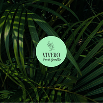 Vivero Presentación. Br, ing, Identit, Graphic Design, Web Design, and Social Media Design project by IZZA ASPRILLA - 04.23.2024