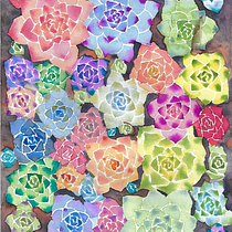 suculentas. Un progetto di Illustrazione tradizionale, Belle arti, Pittura, Pittura ad acquerello e Teoria del colore di Sebastián Vinet - 06.05.2024