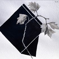 My project for course: Contemporary Botanical Illustration with Ink. Un projet de Illustration traditionnelle, Dessin artistique, Illustration botanique et Illustration à l'encre de horsenettle - 12.05.2024
