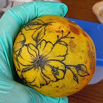 My project for course: Introduction to Tattooing. Ilustração tradicional, Desenho de tatuagens e Ilustração botânica projeto de Crystal - 12.05.2024