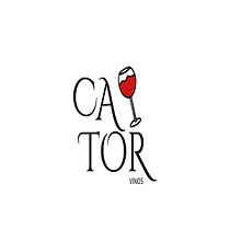 My project for course: CATOR. Un projet de Design , Br, ing et identité, Design graphique , et Création de logos de carolgtfh - 18.04.2024
