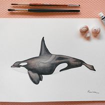 Mi proyecto del curso: Técnicas de ilustración naturalista: ballenas en acuarela. Un progetto di Belle arti, Pittura, Pittura ad acquerello e Illustrazione naturalistica di Fabiola Ramírez Rojas - 14.05.2024