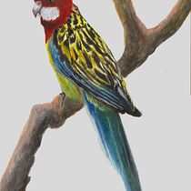 My project for course: Watercolor Painting: Naturalistic Birds and Wildlife Art. Un progetto di Belle arti, Disegno a matita, Disegno, Pittura ad acquerello, Disegno realistico e Illustrazione naturalistica di Crystal Owen - 15.05.2024