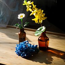 My project for course: Botanical Still Life Photography. Product Photograph, Fine-Art Photograph, Lifest, and le Photograph project by Chanisda Jukgrasrisakul - 05.15.2024