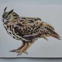 My project for course: Naturalist Bird Illustration with Watercolors. Ilustração tradicional, Pintura em aquarela, Desenho realista e Ilustração naturalista projeto de Eryka Rakoczy - 26.08.2021