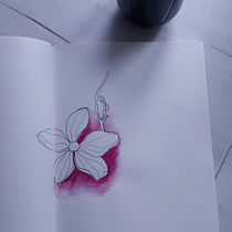 My project for course: Floral Drawings to Illustrate your Bullet Journal. Un proyecto de Pintura, Lettering, Dibujo, Ilustración botánica, H, lettering, Gestión y productividad							 de Oksana Sycheva - 15.05.2024