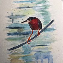 C Whillock project for course: Artistic Watercolor Techniques for Illustrating Birds. Traditional illustration, Watercolor Painting, Realistic Drawing, and Naturalistic Illustration project by Cathleen Whillock - 05.12.2024