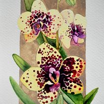 Meu projeto do curso: Ilustração botânica com aquarela. Traditional illustration, Fine Arts, Painting, Drawing, Watercolor Painting, and Botanical Illustration project by samyproart - 05.18.2024