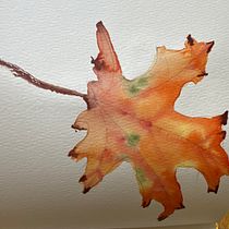 Mi proyecto del curso: Ilustración de elementos naturales en acuarela. Un progetto di Illustrazione tradizionale, Pittura ad acquerello e Illustrazione naturalistica di decelis_ines - 18.05.2024