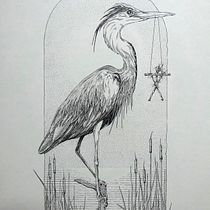 My project for course: Realistic Illustration of Birds with Imaginative Elements. Drawing, Ink Illustration, Naturalistic Illustration, and Pencil Drawing project by tsyganochka - 05.19.2024