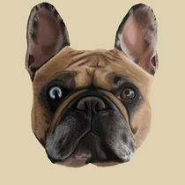 Mon projet du cours : Illustration naturaliste d’animaux avec Procreate Ein Projekt aus dem Bereich Traditionelle Illustration, Digitale Illustration, Realistische Zeichnung und Naturalistische Illustration von nico_taglia - 21.05.2024