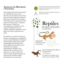 Mi proyecto del curso: Visualización de datos y diseño de la información: crea un modelo visual. Design de informação, Design interativo e Infografia projeto de Atenea Camacho - 20.05.2024