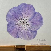 My project for course: Botanical Watercolor Illustration: Cross-hatching Technique. Un proyecto de Bellas Artes, Pintura, Pintura a la acuarela e Ilustración botánica de armaundrell - 22.05.2024