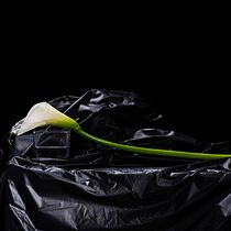 Mort de Marat. Product Photograph, Fine-Art Photograph, Food Photograph, Photograph, Fine Arts, Photograph, Post-production, Creativit, Photographic Lighting, Studio Photograph, Concept Art, Digital Photograph, and Photographic Composition project by Elvio Pierattini - 05.23.2024