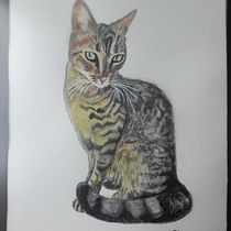 Mi proyecto del curso: Técnicas experimentales de acuarela para principiantes. Un progetto di Illustrazione tradizionale, Belle arti, Pittura ad acquerello e Illustrazione naturalistica di Marcelo Heredia - 24.05.2024