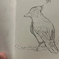 My project for course: Daily Sketching for Creative Inspiration. Traditional illustration, Sketching, Creativit, Drawing, and Sketchbook project by Fredmil Jose Osorio Brito - 05.26.2024